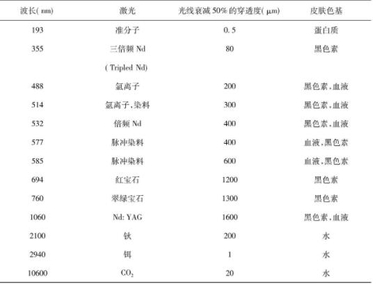 图.光在正常白肤色皮肤中的穿透深度